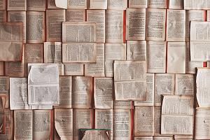 Image representing Literary and Critical Theory