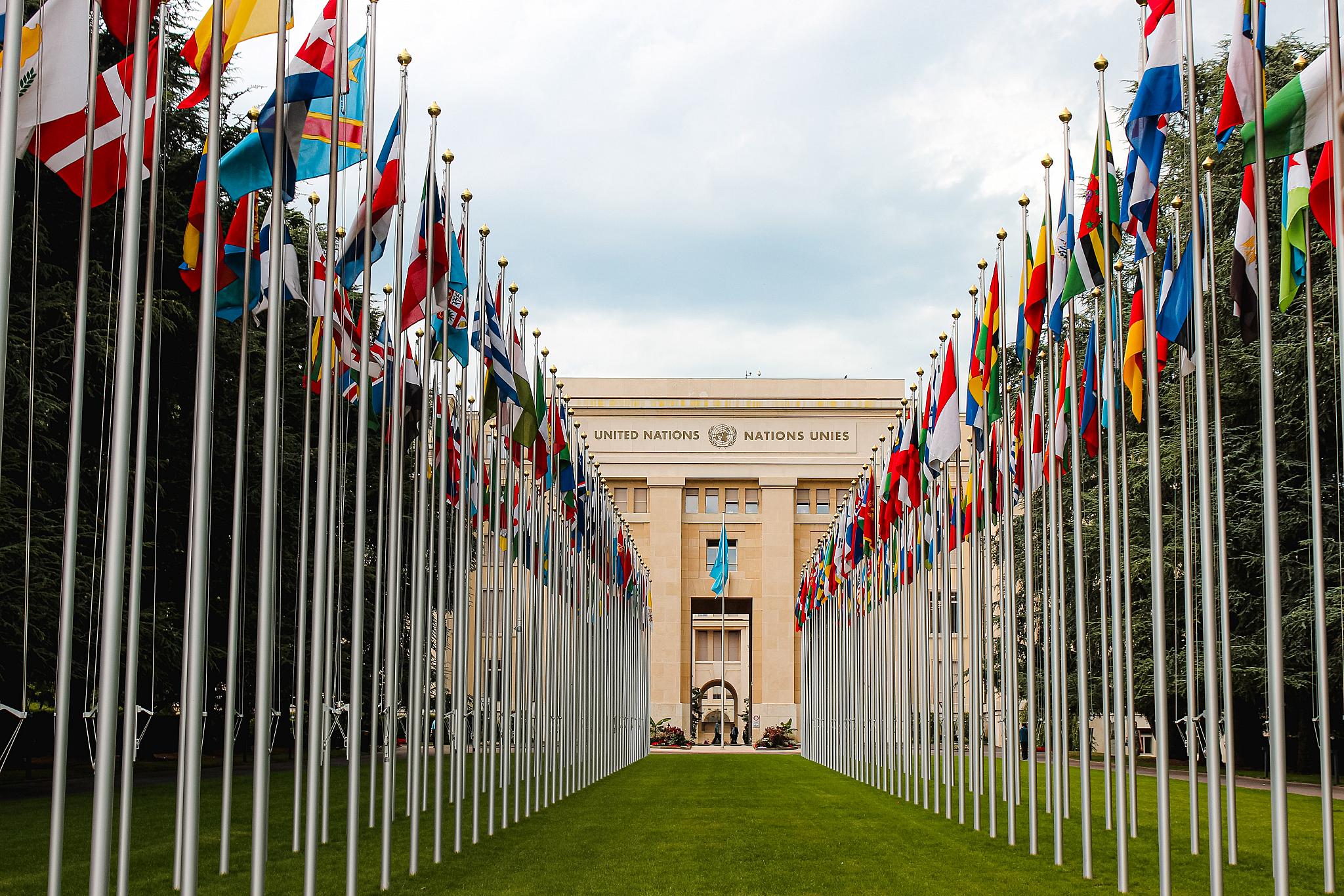 LLM International Human Rights
